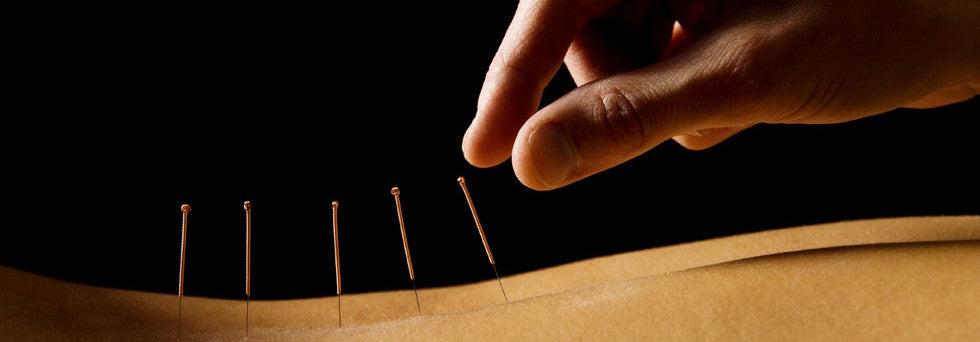 TCM Theory of the Acupuncture Channels and Points