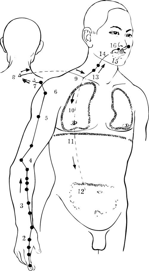 Chinese Medicine for Asthma