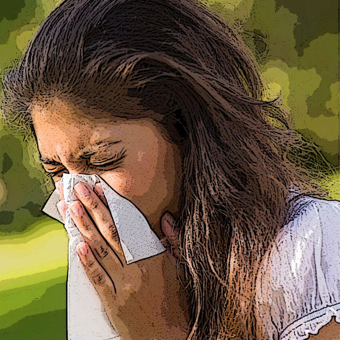 Chinese Herbs for Allergies