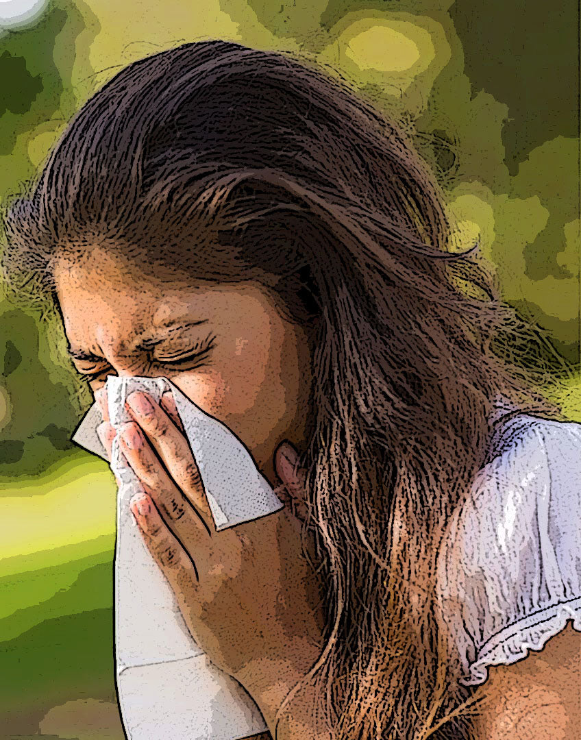 Chinese Herbs for Allergies
