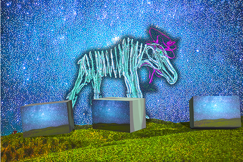 E-Moose On Earth