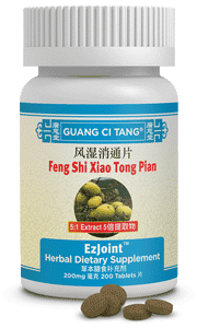 Feng Shi Xiao Tong Pian (EzJoint™ )