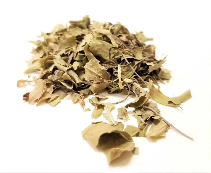 Luo Bu Ma Ye (Folium Apocyni Veneti) 羅布麻葉 whole herb