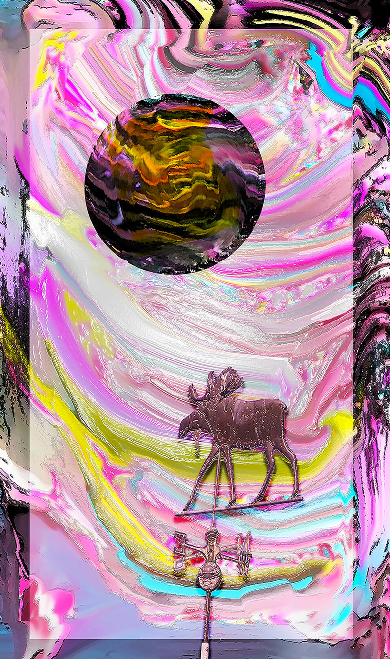 Moose and the Moon