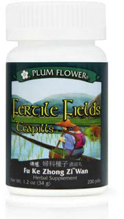 Fu Ke Zhong Zi Wan - Fertile Fields Teapills