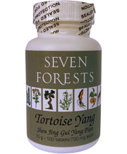 Tortoise-Yang | Seven Forests 100 tabs