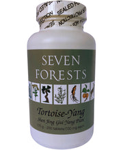Tortoise-Yang | Seven Forests 250 tabs