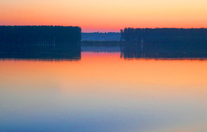 Joel Schreck's Photografix Summer 2019
