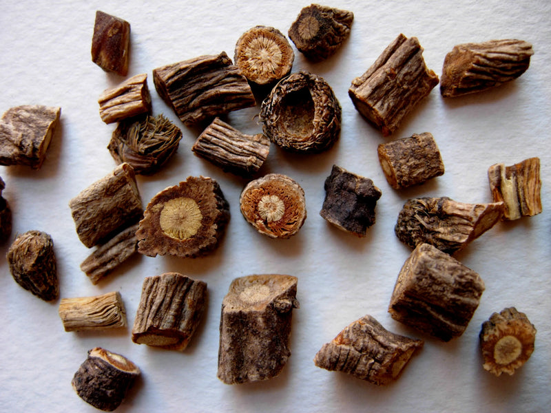 fang feng whole herb