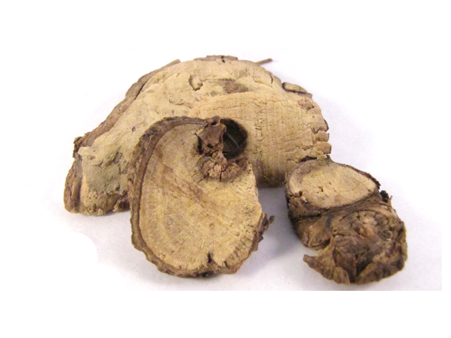 shan dou gen whole herb