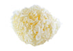 Tremella - 1 lb.