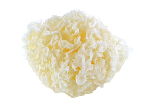 Tremella - 1 lb.