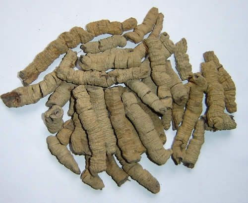 bai ji tian