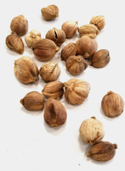 bai dou kou whole herb