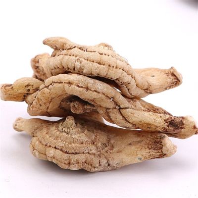 bai ji whole herb