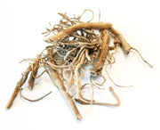 bai qian whole herb