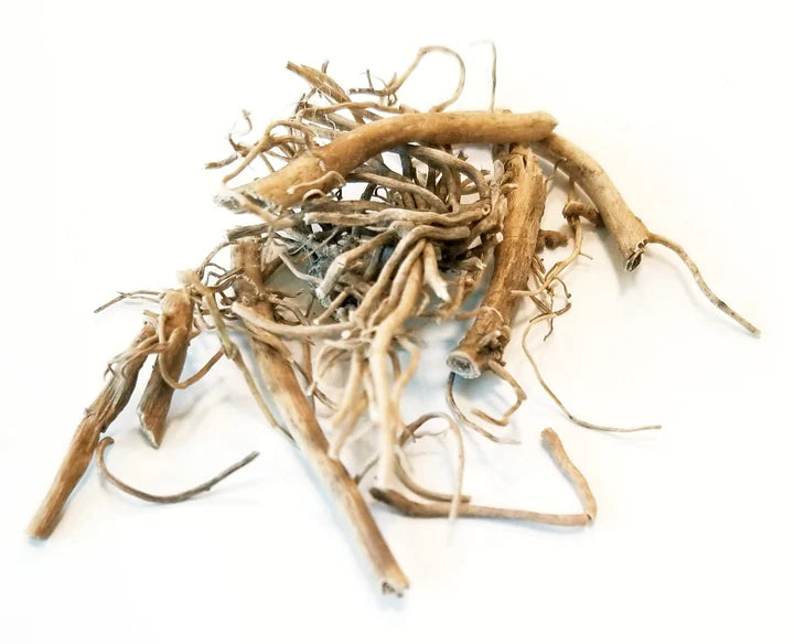 bai qian whole herb