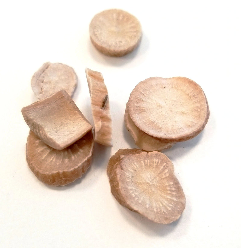 bai shao whole herb