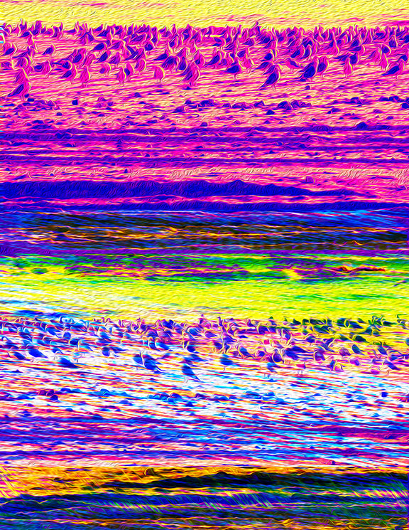 Impossible Images, 2020 Digital Paintings by Joel Harvey Schreck