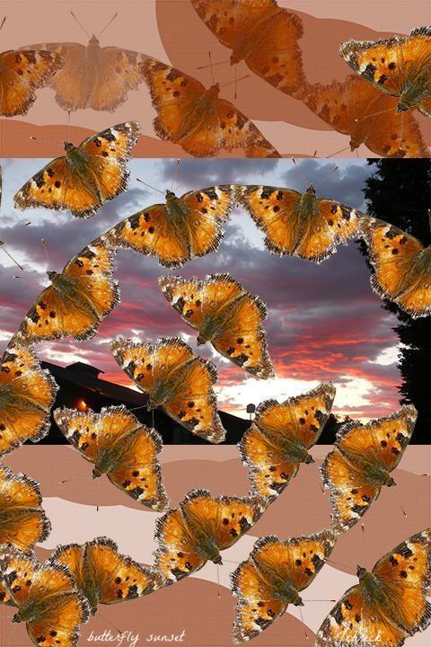 Photo-Graphics, Digital Paintings by Dr. Shen (Joel Harvey Schreck)