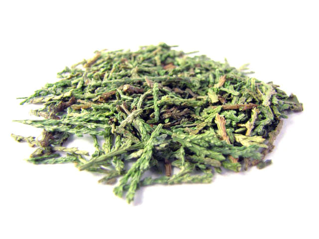 ce bai ye whole herb