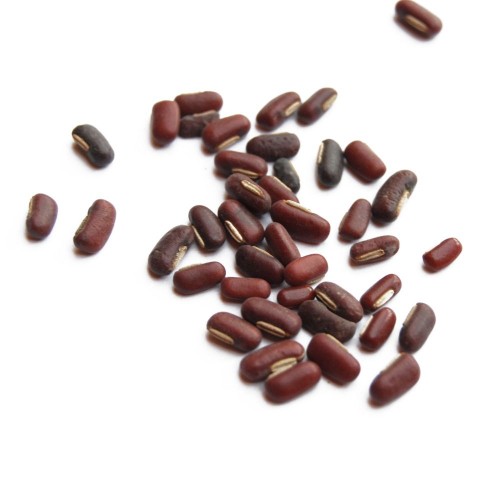 chi xiao dou whole herb