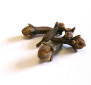 ding xiang whole herb
