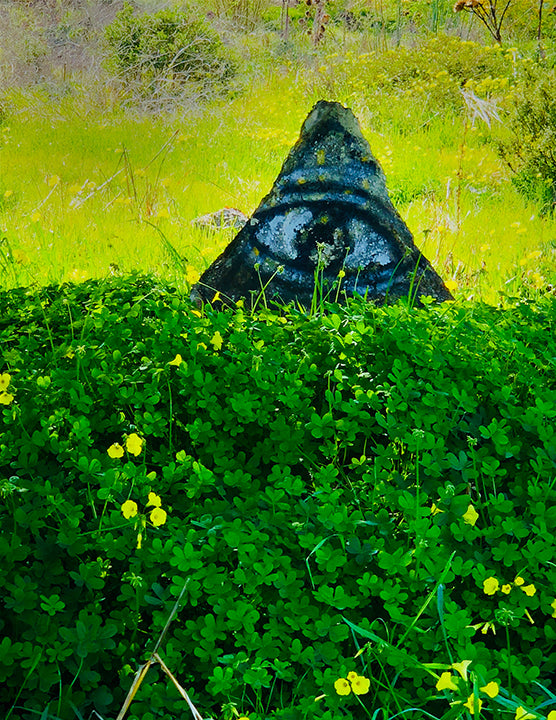 Eye Over Clover:  Selected Photographs & Digital Images