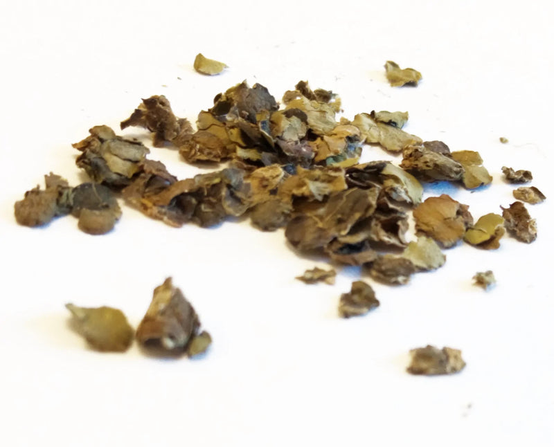 fu ping whole herb