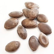 gua lou ren whole herb