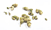 huai hua mi whole herb