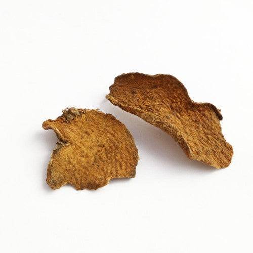 huang yao zi whole herb