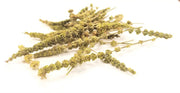 jing jie whole herb