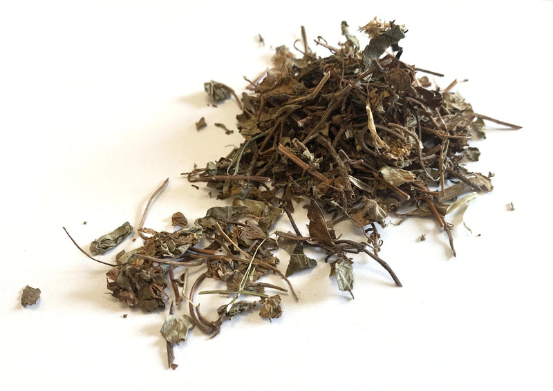 jin qian cao whole herb