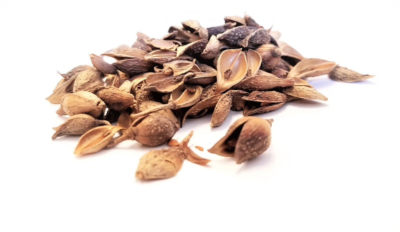 lian qiao whole herb