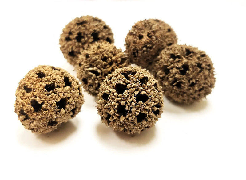 lu lu tong whole herb