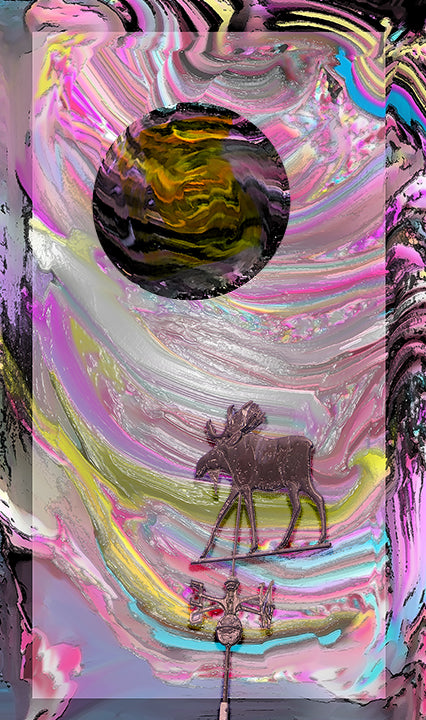 Moosie In the Sky With Diamonds,  c. Joel Schreck 2019
