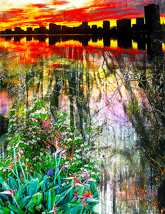 Fall Creations | Photographs & Potographics Joel Harvey Schreck