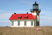 Healing Image - Lighthouse by Dr. Shen (Joel Schreck)