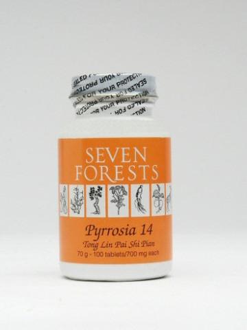 Pyrrosia 14 - Seven Forests