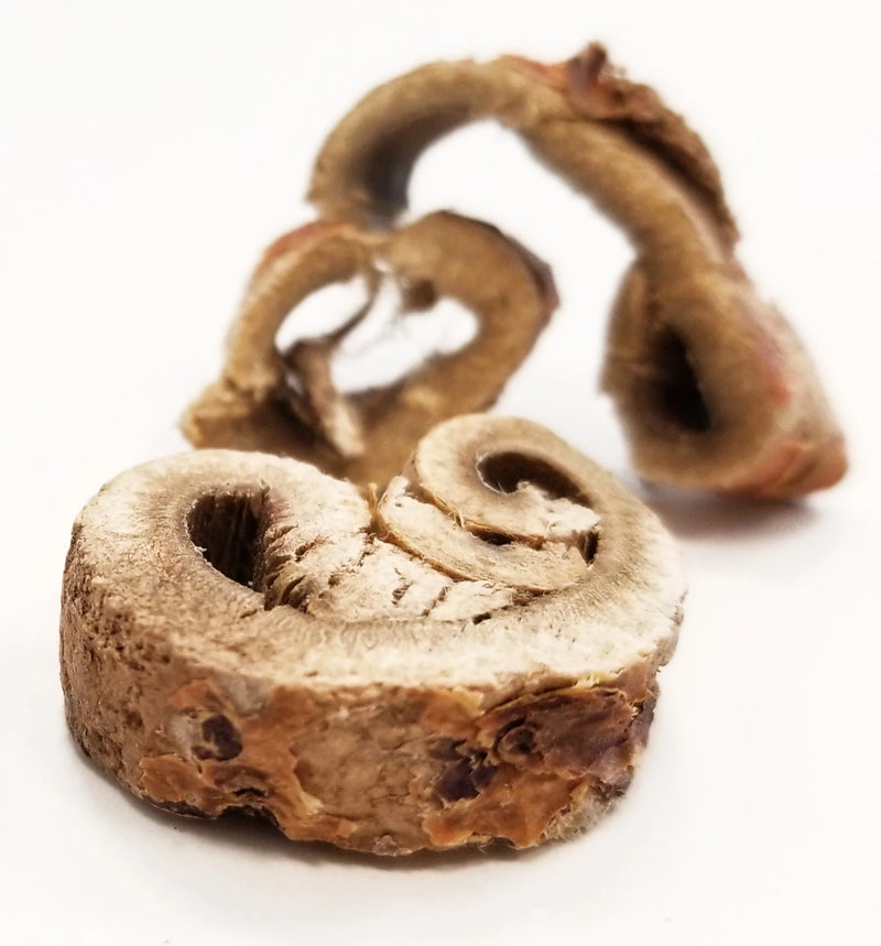 sang bai pi whole herb