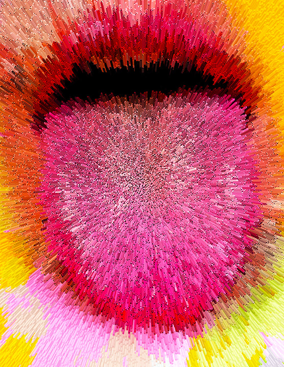 November Images ©  2020 Joel Harvey Schreck.