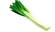 cong bai whole herb