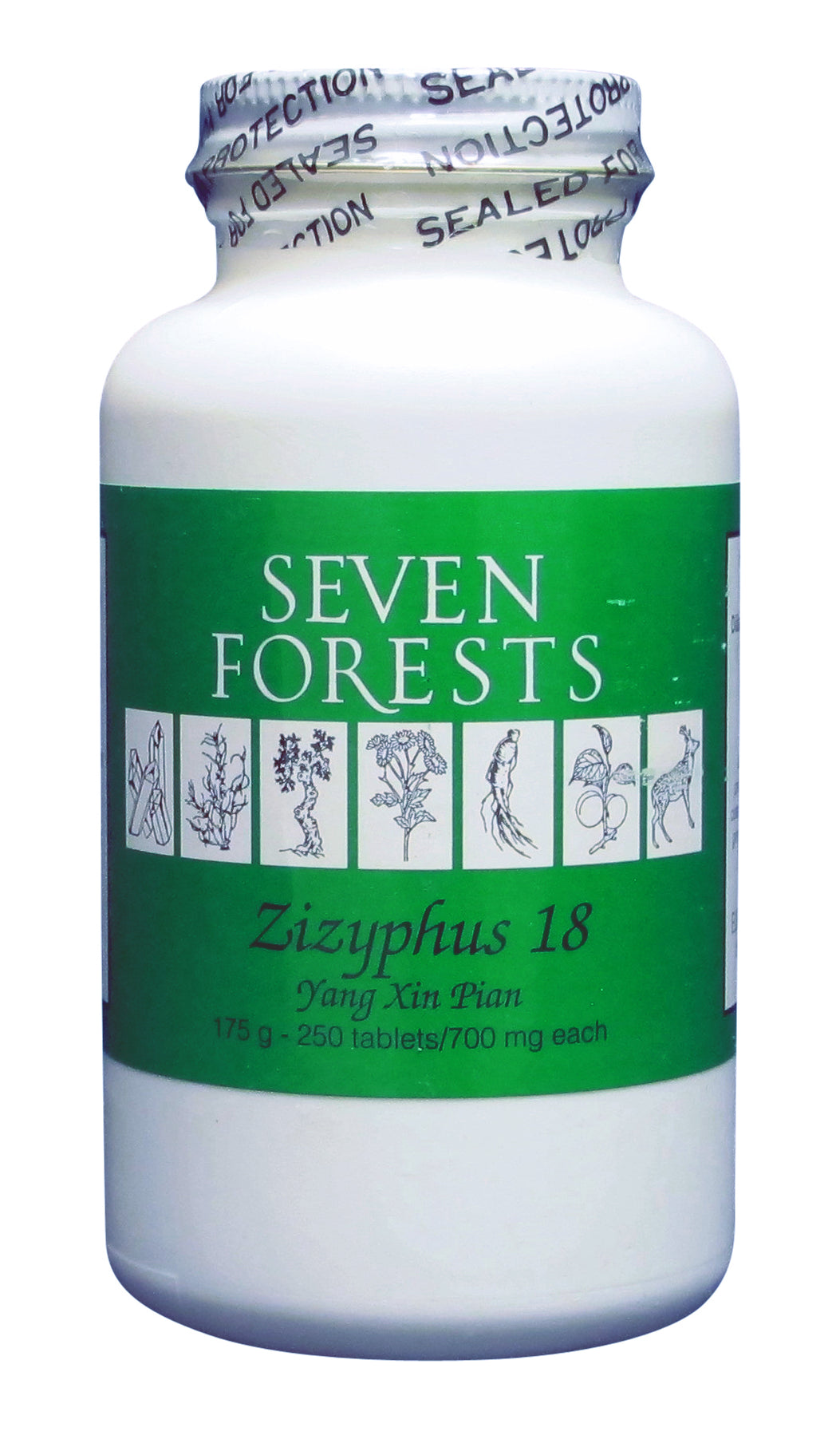 Zizyphus 18 Seven Forests —