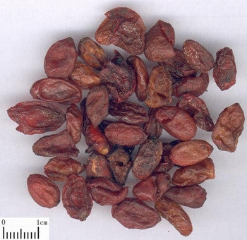 SHAN ZHU YU - Cornus Fructus