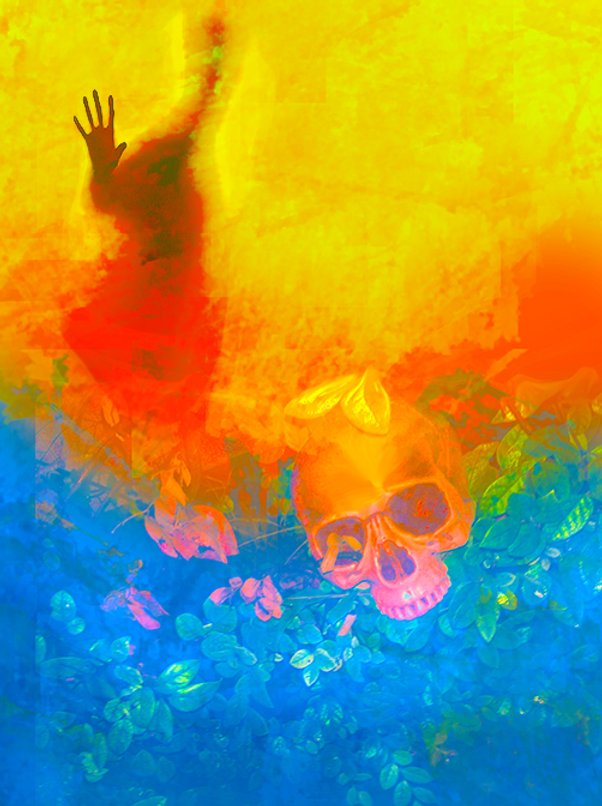 November Images ©  2020 Joel Harvey Schreck.