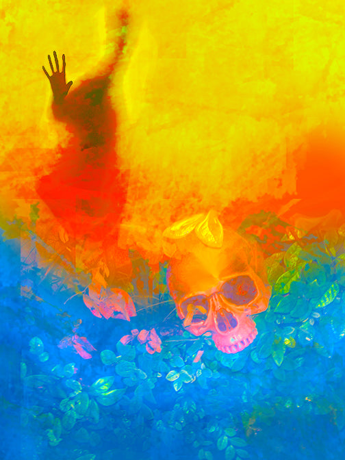 skull and ghost, by  joel harvey schreck 