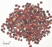 Suan Zao Ren - Whole Herb 