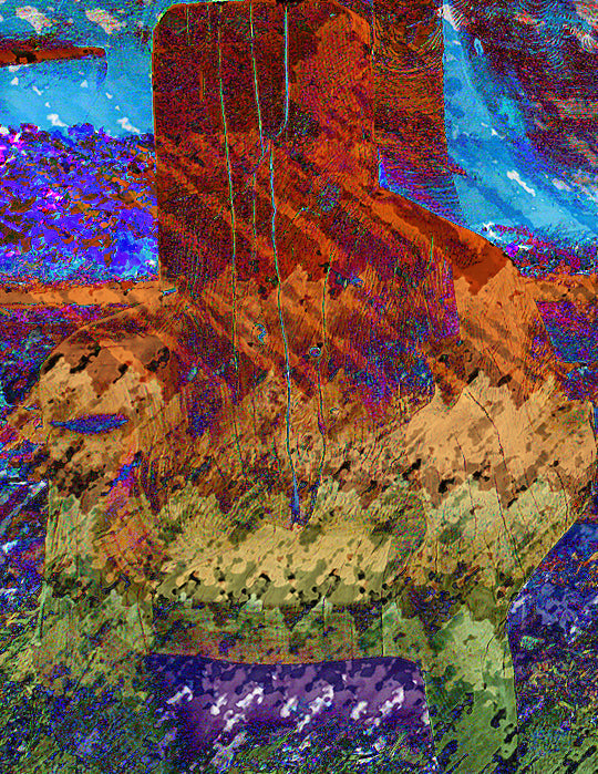 Tassajara Chair: joel schreck american artist  2020 - may flowers