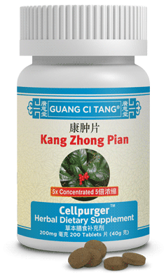 Kang Zhong Pian 康肿片 - Cellpurger™